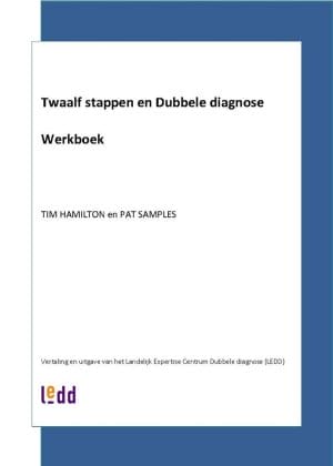 Twaalf stappen en Dubbele diagnose - Werkboek